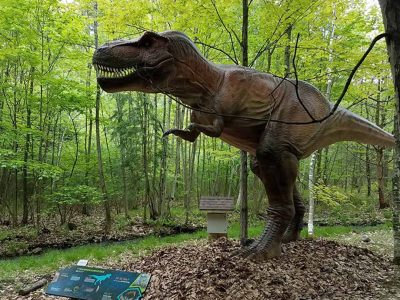 Life-Size Animatronic T-Rex Dinosaur Statue