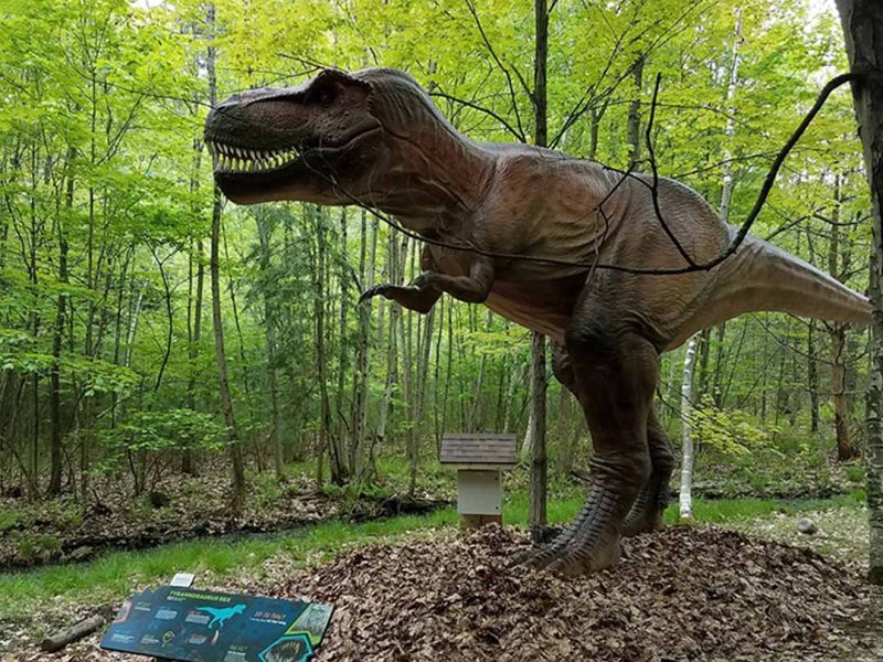 Life-Size Animatronic T-Rex Dinosaur Statue