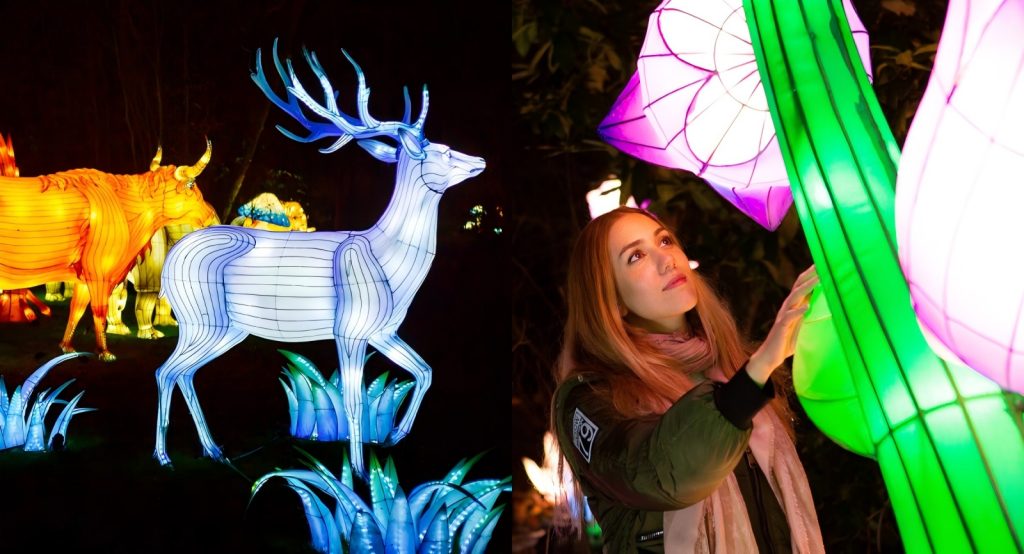 Chinese lantern festival display overseas in UK/USA — Zigong lanterns exported globally
