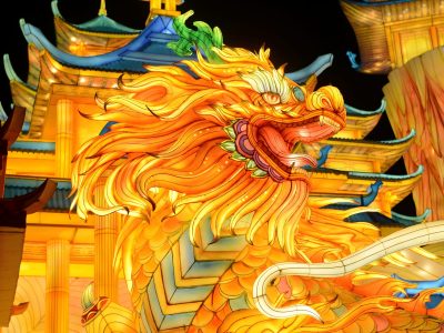 Chinese Dragon Lantern Display — Giant Golden Dragon Installation