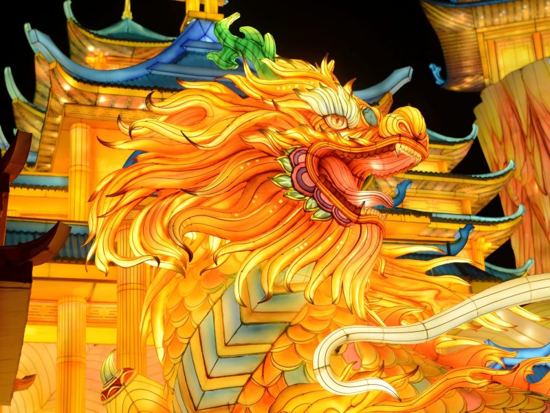 Chinese Dragon Lantern Display — Giant Golden Dragon Installation