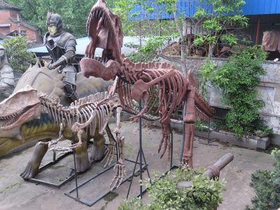 Museum-Grade Dinosaur Skeleton Replica