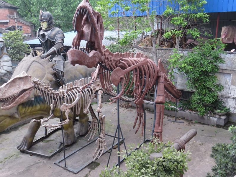 Museum-Grade Dinosaur Skeleton Replica