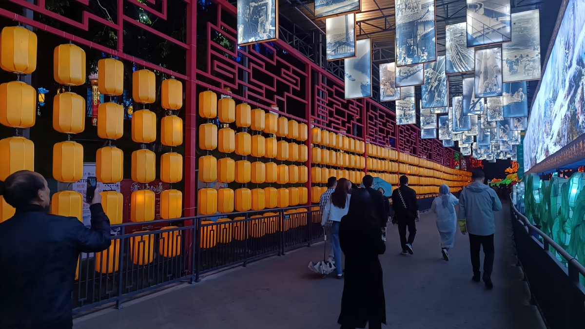 Chinese lantern manufacturer festival display with modern illuminated sculptures at night