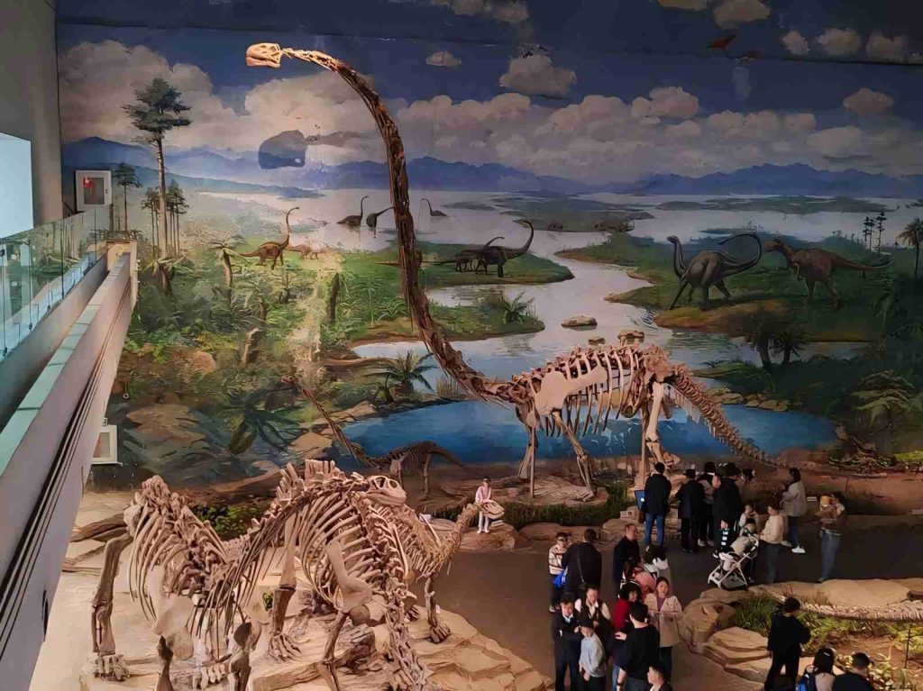 Zigong Dinosaur Museum fossil skeleton display — the city of dinosaurs and lanterns