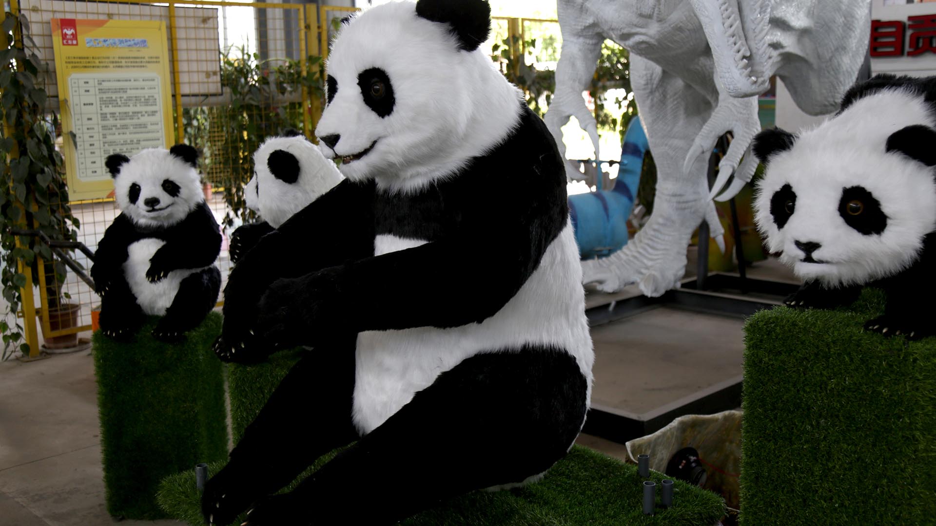 Giant Panda Animatronic