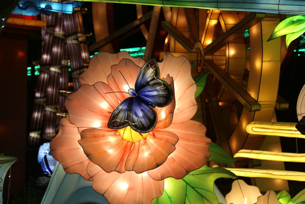 animal-lantern-buying-guide-butterfly-garden