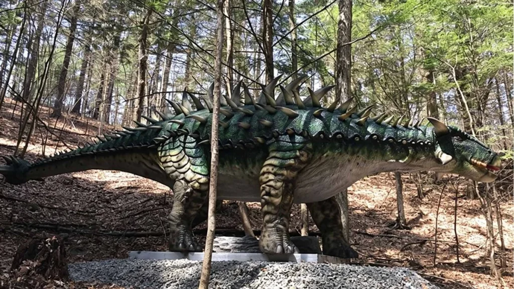Animatronic Ankylosaurus full body with armoured back and tail club for dinosaur exhibit display