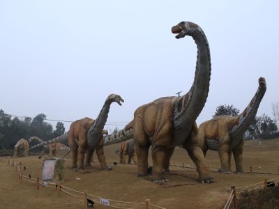 Animatronic Apatosaurus for Sale — Life-Size Dinosaur Exhibit
