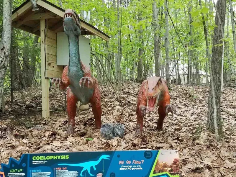 Animatronic Coelophysis — Slender Triassic Theropod Dinosaur Exhibit