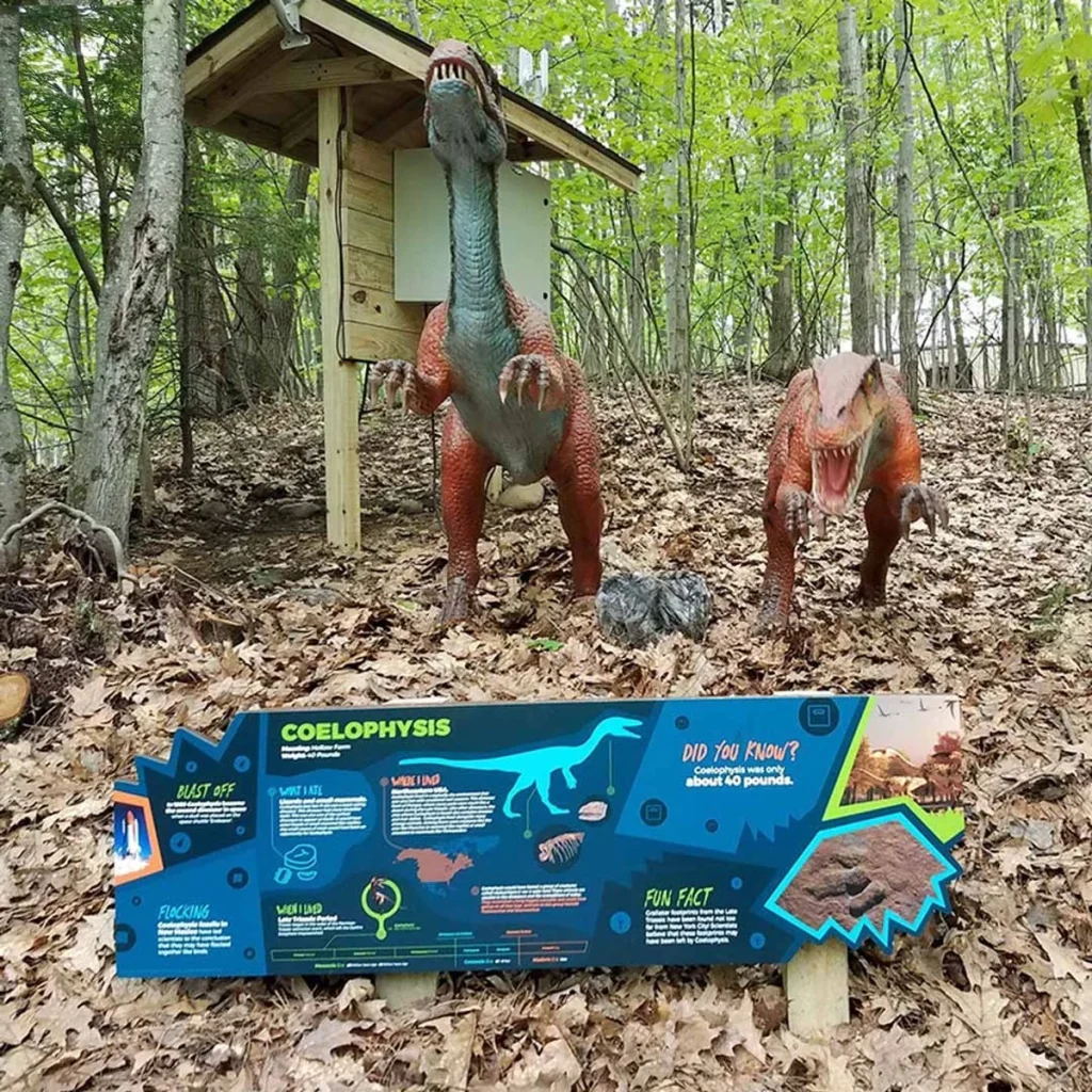 Animatronic Coelophysis in outdoor exhibit setting with natural lighting