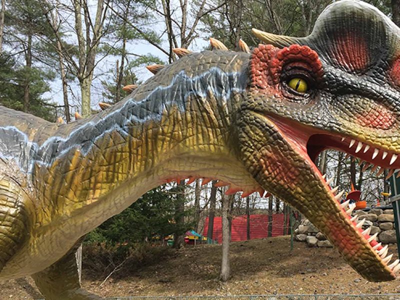 Animatronic Dilophosaurus — Early Jurassic Crested Theropod Dinosaur