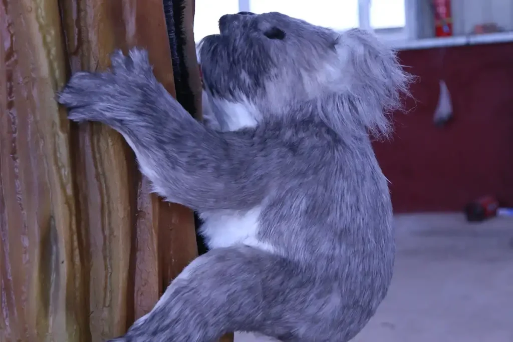 Animatronic koala model with realistic silicone fur perched on eucalyptus branch