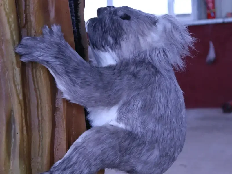 Animatronic Koala Model — Australian Wildlife Zoo & Museum Exhibit
