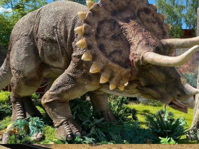 Animatronic Triceratops for Sale — Life-Size Three-Horned Dinosaur