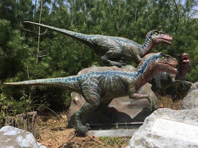 Animatronic Velociraptor for Sale — Pack-Hunting Raptor Dinosaur