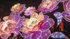 Illuminated rose flower lanterns glowing in a night garden display at Chinese lantern festival