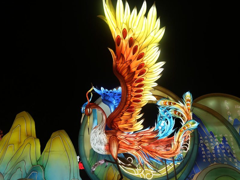 Mandarin Duck Love Birds lantern for Chinese wedding and festival display
