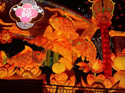 Nian Nian You Yu Koi Fish Abundance Lantern