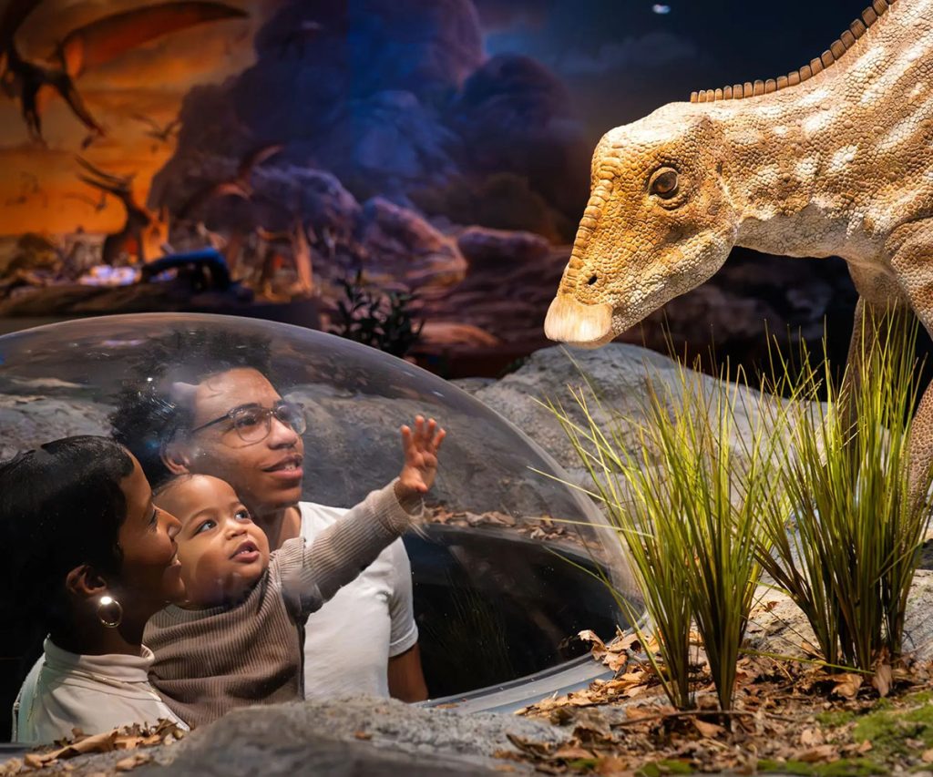 Realistic animatronic dinosaur habitat exhibit recreating the prehistoric environment for immersive visitor experience