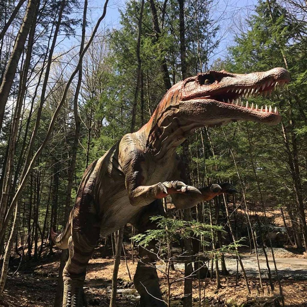 Life-size animatronic large theropod dinosaur (T-Rex family) in a dynamic rearing pose with mouth open, showing teeth. Brown and orange striped skin, muscular legs, short arms. Thrill-zone exhibit for theme parks.