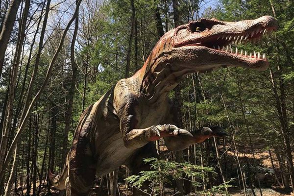 Top 6 Most Popular Animatronic Dinosaurs for Theme Parks, Museums & Zoos (2026 Guide)