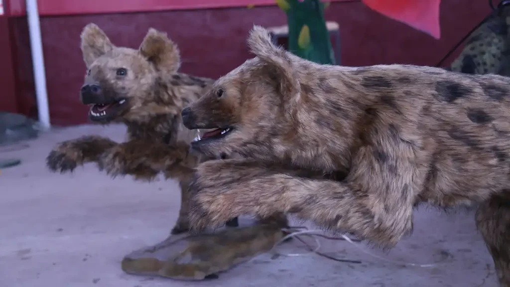 animatronic hyena clan display two figures