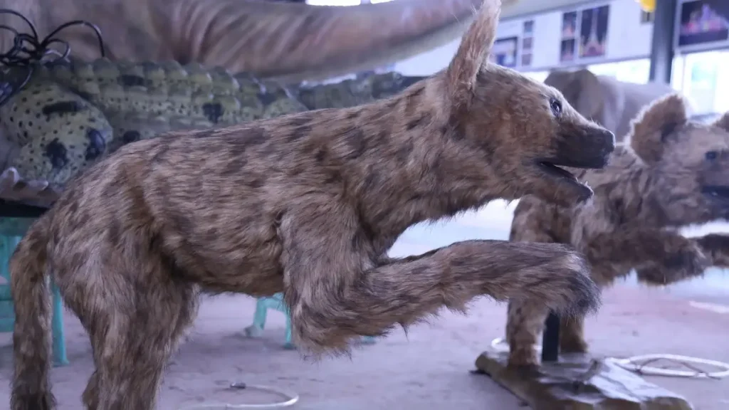 animatronic hyena side view sloping shoulders