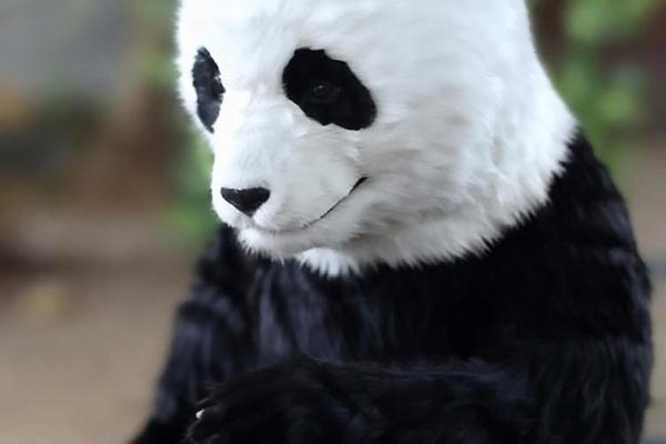 Animatronic Animals — Lifelike Wildlife Exhibits for Zoos, Museums & Theme Parks