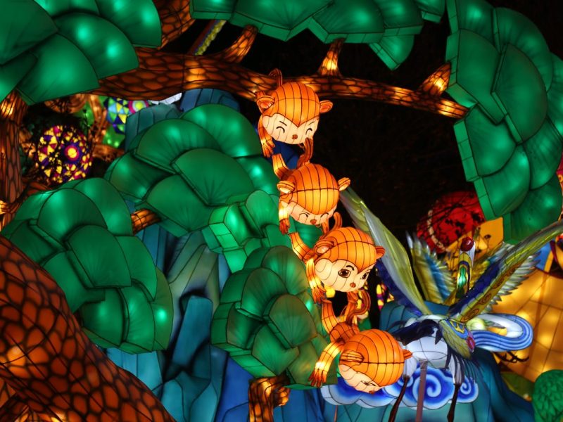Fairy Forest Lantern Arch — Enchanted Woodland Light Display