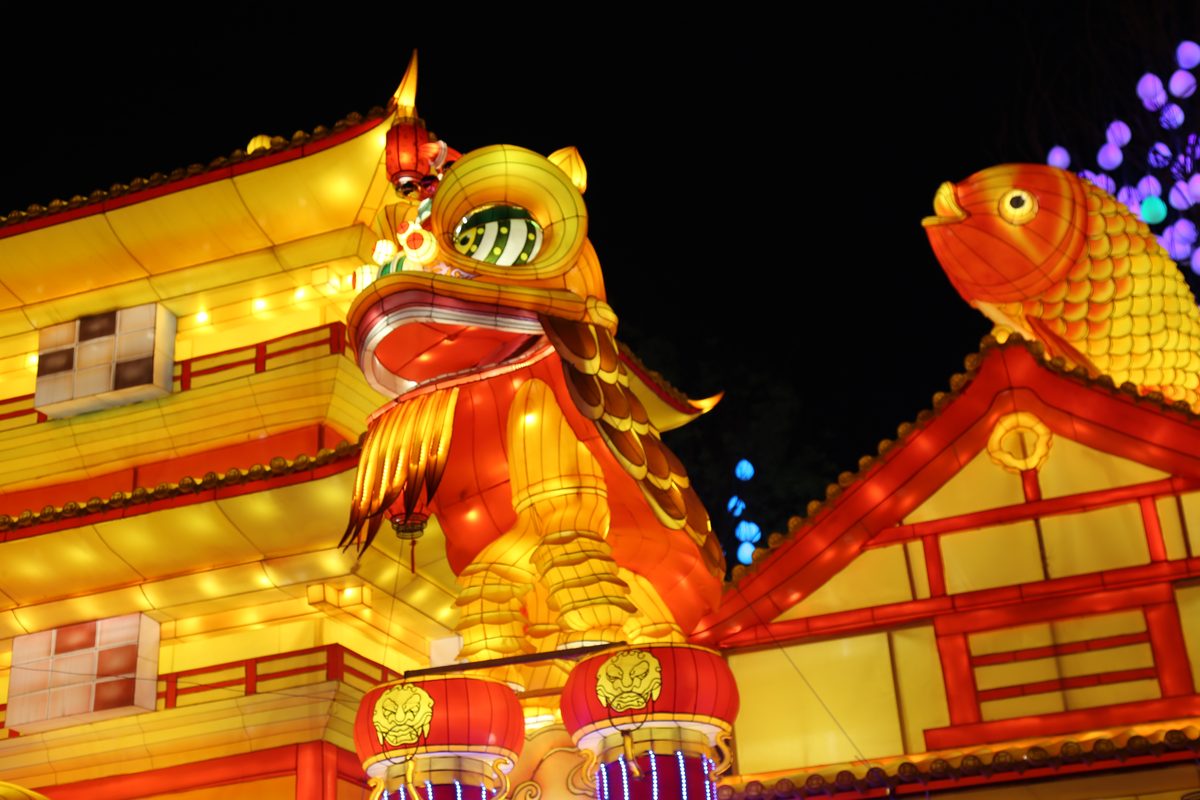Custom lantern design based on lion dance tradition — illuminated Chinese lion and koi over a festival entrance gate at night
