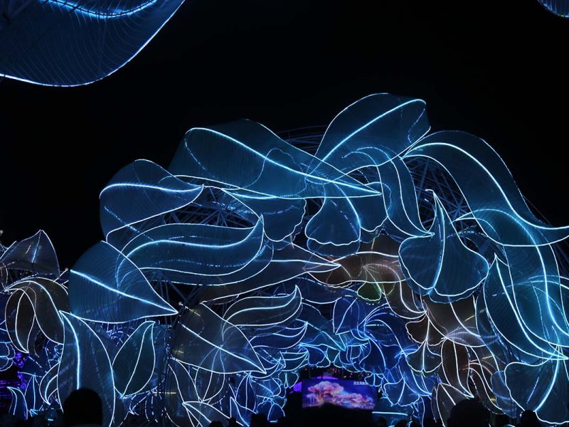 LED Neon Light Tunnel (Forest & Abstract Light-Outlined Tunnel)