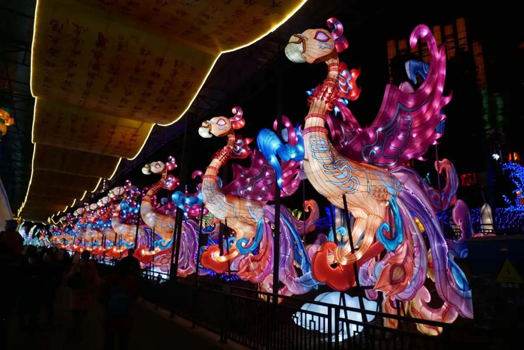 Phoenix lantern corridor display with a procession of illuminated phoenixes lining a festival path at night