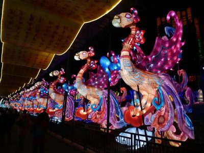 Phoenix Lantern Corridor Display — Processional Phoenix Lanterns for Festival Paths