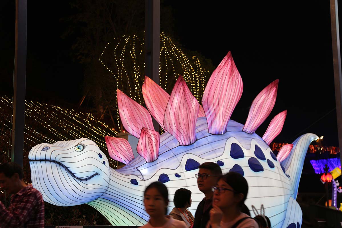 Visitors photographing a giant pink-spiked Stegosaurus lantern on a winter lantern festival trail, with golden fairy-light trees illuminating the background