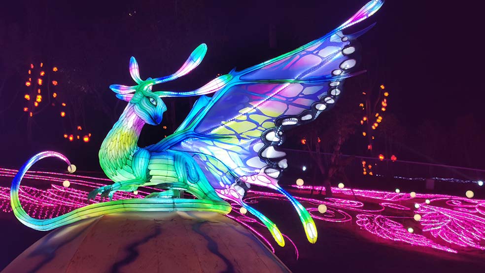 A massive iridescent fantasy dragon lantern with rainbow-colored wings glowing on a winter lantern festival trail lined with magenta ground lights