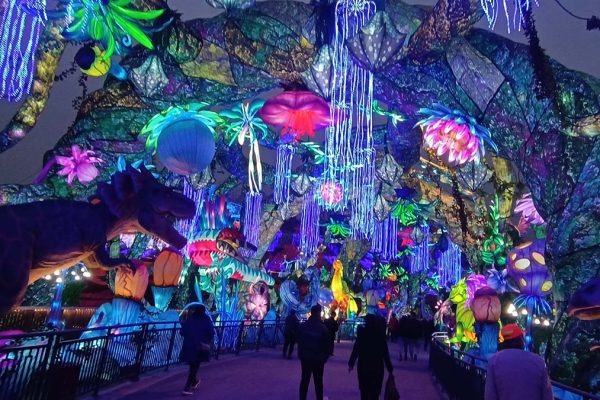 Winter Lantern Festival: What Visitors Search For (and How Venues Deliver)
