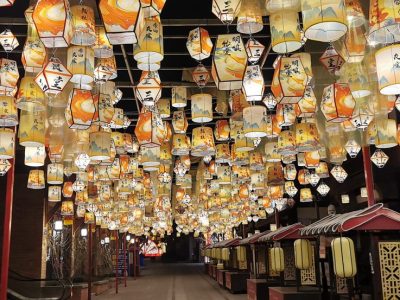Chinese Poetry Lantern Corridor — Calligraphy & Ink-Painting Hexagonal Lanterns