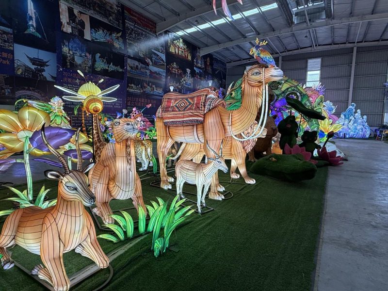 Camel Lantern Group