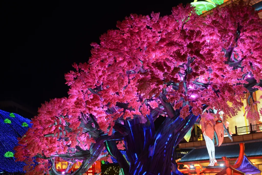 Cherry blossom lantern tree with a dense pink blossom canopy lit from inside beside a heritage building