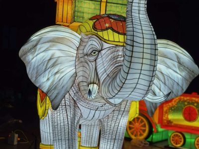 Elephant Lantern Group