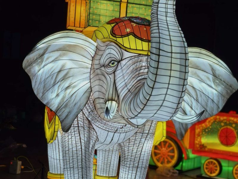 Elephant Lantern Group
