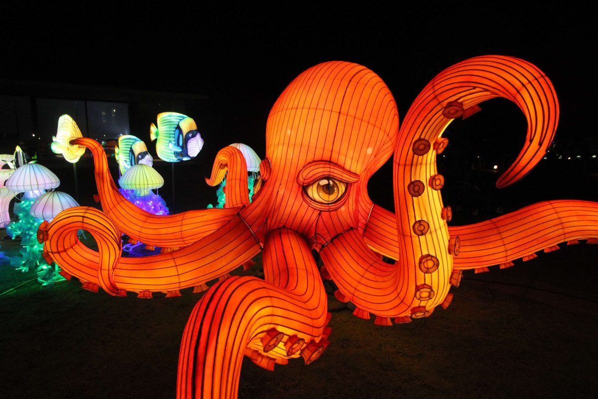 Red Octopus Lantern in warm festival lighting