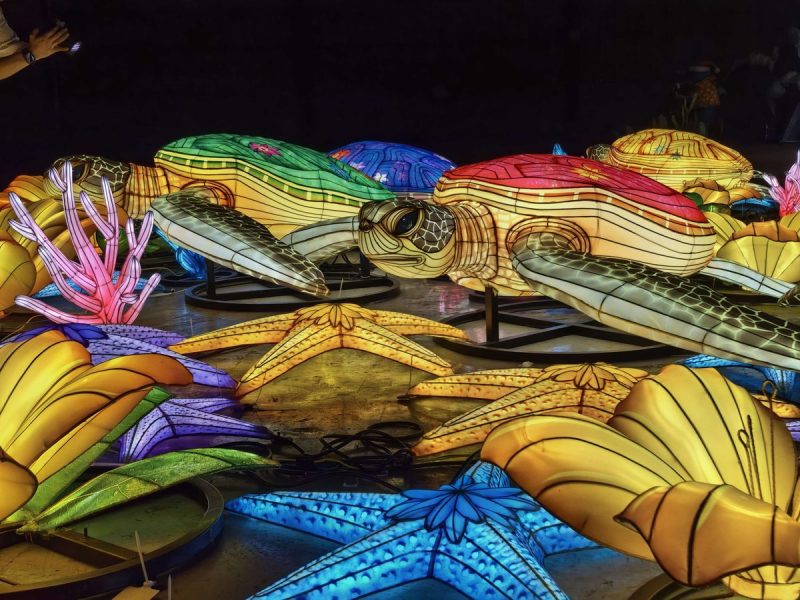 Sea Turtle Lantern Group