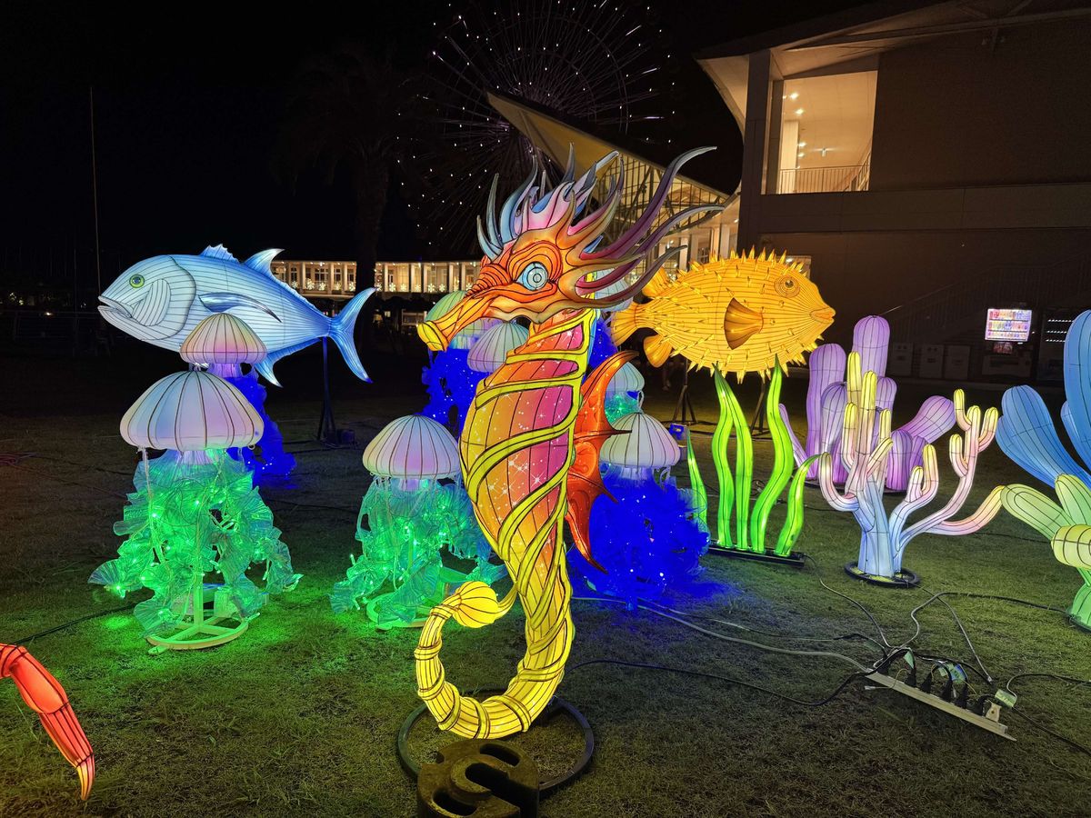 Seahorse Lantern in warm festival lighting