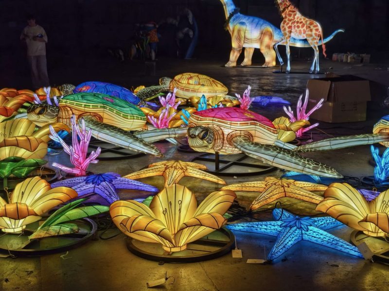 Starfish Lantern Collection