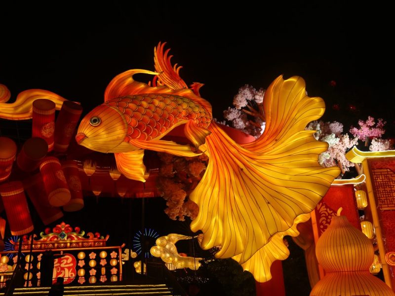 Suspended Fish Lantern Gateway — Giant Hanging Fish Lantern and Entrance Set