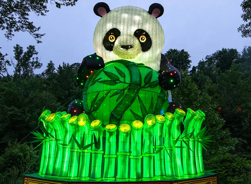 Giant panda lantern hugging bamboo at an outdoor zoo lantern festival